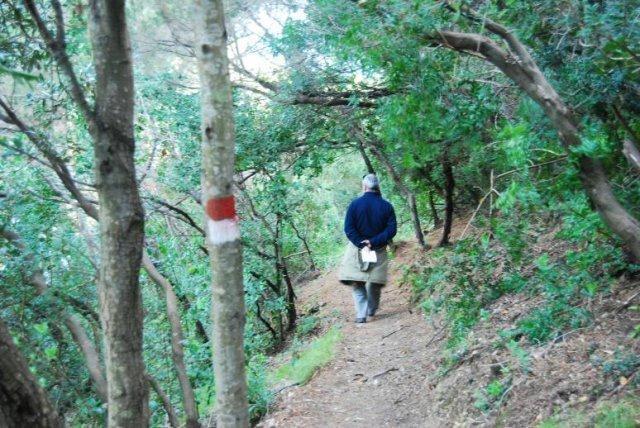 Camminare o correre nei sentieri privati, l'esperto: «Attenzione, non è consentito» 