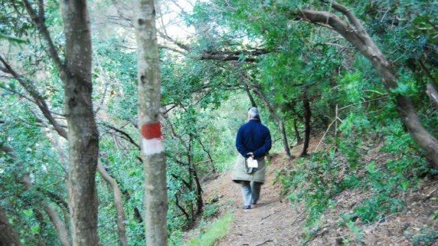 Camminare o correre nei sentieri privati, l'esperto: «Attenzione, non è consentito»