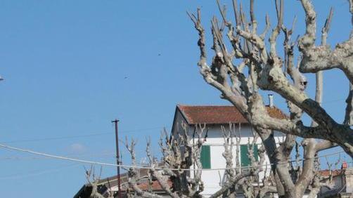 Sinistra in piazza a fianco dei palestinesi