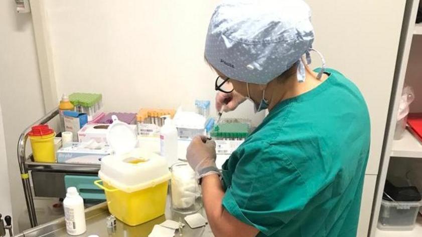 Asse tra Zini e Giani per i vaccini sull’isola «Obiettivo Elba Covid free a inizio giugno»