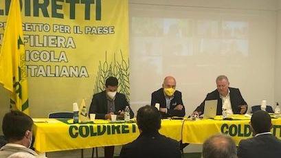 Predazioni, Firenze pensa ad aprire l’ufficio per il lupo