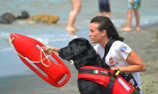 Ecco i cani “salvavita” per la sicurezza dei bagnanti in Feniglia 