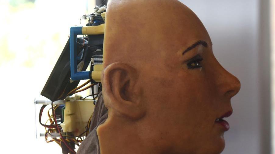 Il suo genitore “Face” e quell’apparizione sul palco di Grillo