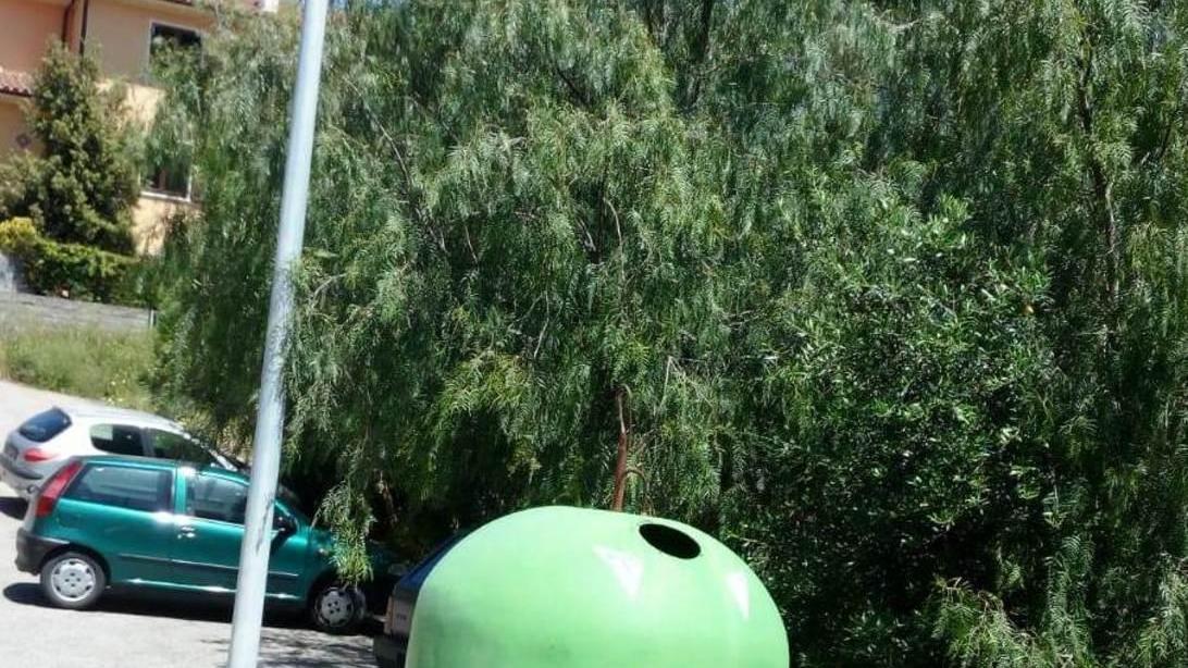 Un’ingombrante campana per il vetro