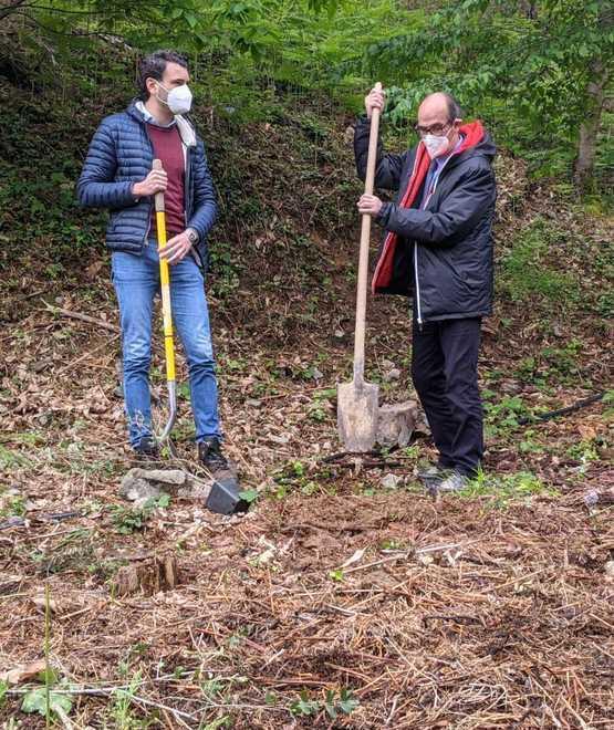 Un albero piantato dentro il Camelieto per ogni nuovo nato 