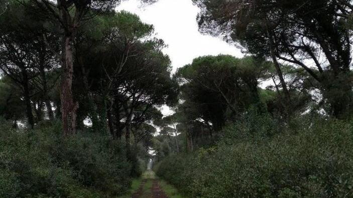 «La ciclopista del Trammino non sacrifichi la natura»