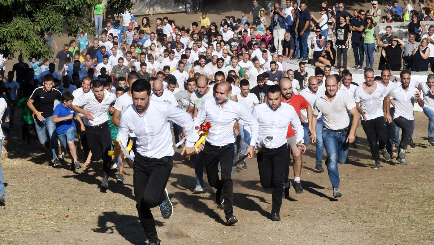 Ardia, debole speranza per la discesa di luglio 