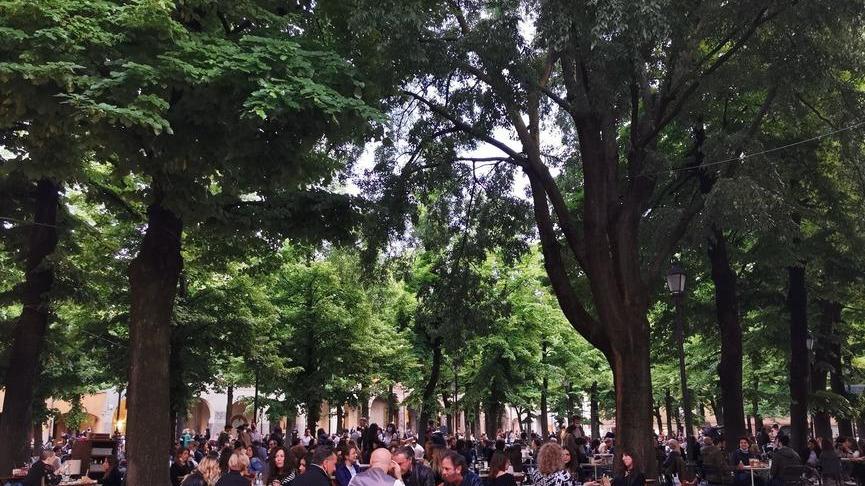 A.A.A. cercansi camerieri per bar e ristoranti reggiani