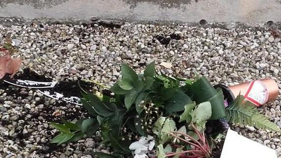 Ancora furti di fiori dalle tombe del cimitero
