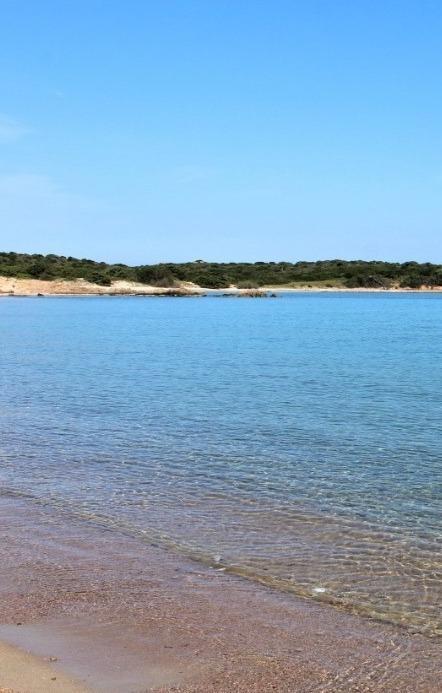 Stagione turistica, prove generali ad Aglientu 