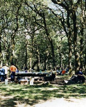 Cantieri verdi la Regione stanzia i fondi per quattro comuni