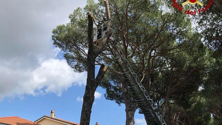 L'intervento dei vigili del fuoco