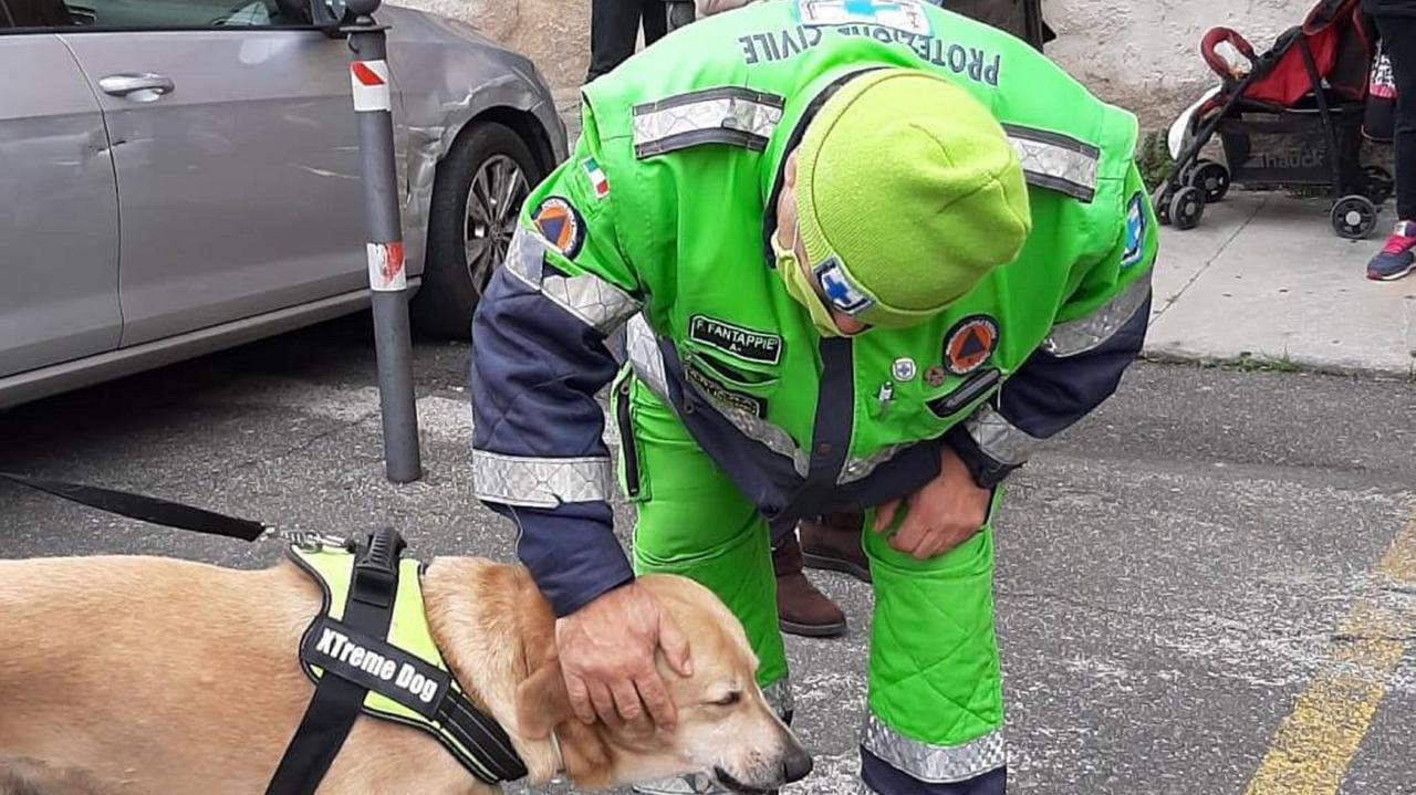 Un volontario Anpana con un cane