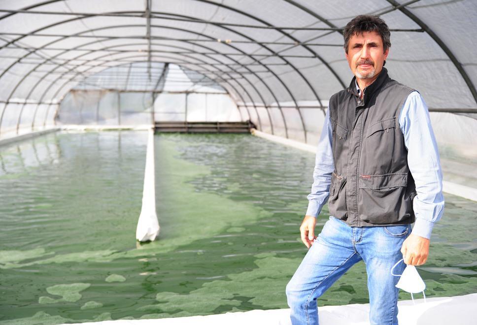 Da Solara arriva la spirulina: Farmodena è prima in Italia 