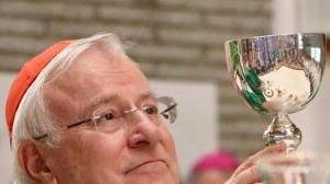 La Chiesa italiana: «La legge Zan va modificata ma non affossata»
