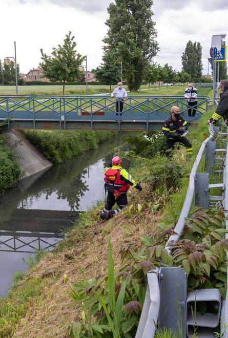 Investito da un’auto finisce dentro il canale 