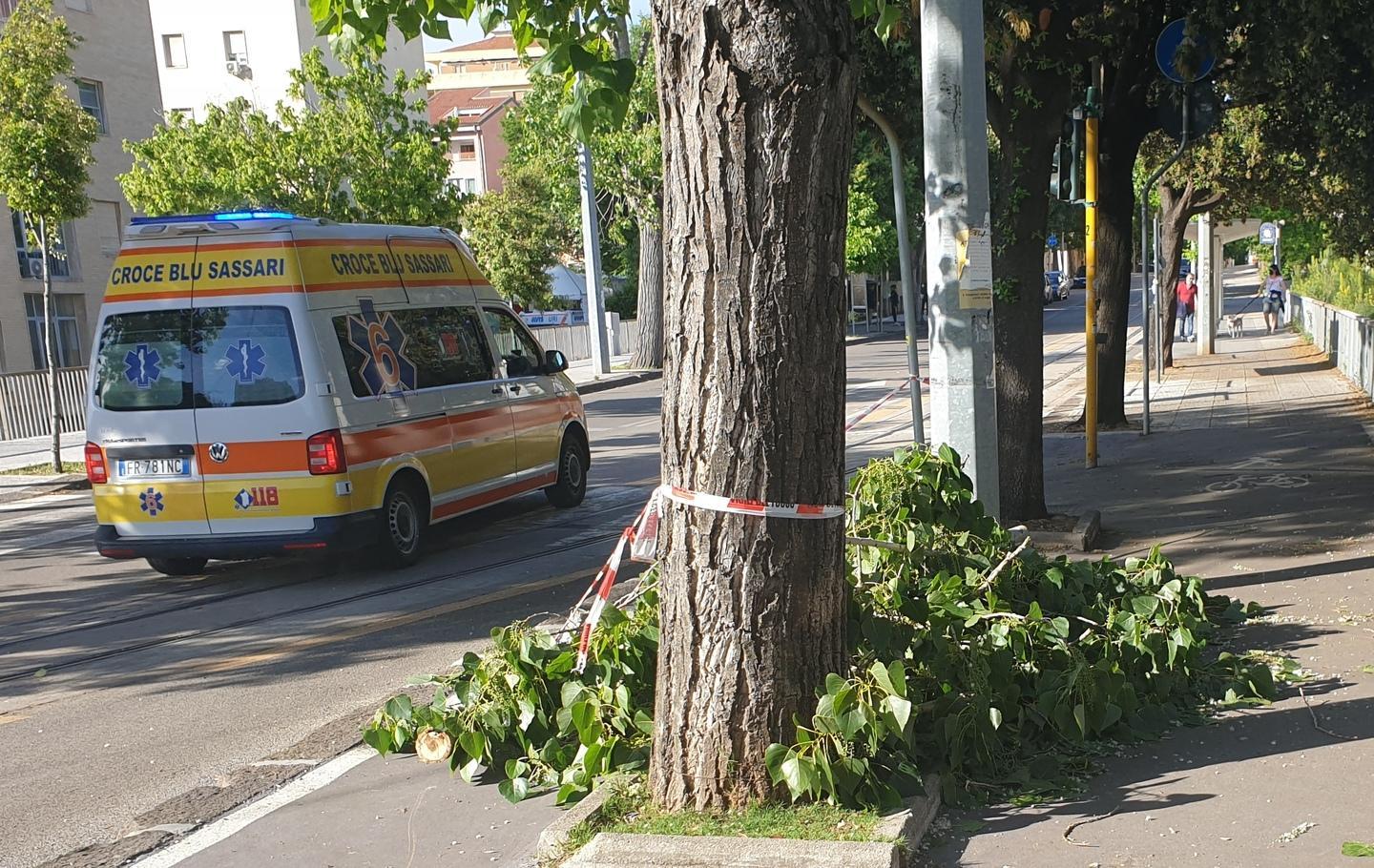 Sassari, si spezza un ramo: in viale Italia: due studenti colpiti alla testa 