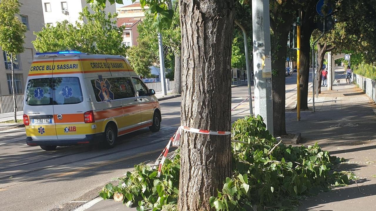 Sassari, si spezza un ramo: in viale Italia: due studenti colpiti alla testa 