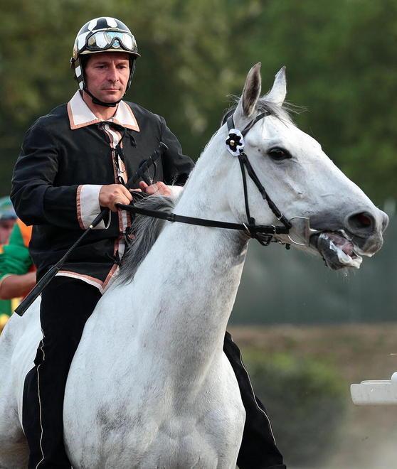 Atteso alla 14ª edizione del palio sanvincenzino 