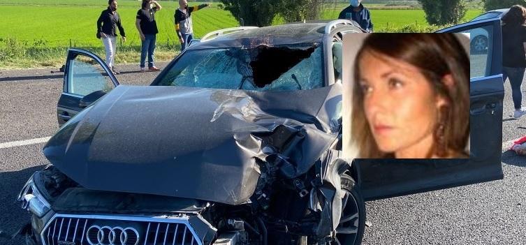 Sassuolo. Morta la donna colpita da un capriolo, la sorella: «Quel rumore come di una bomba nell’auto» 