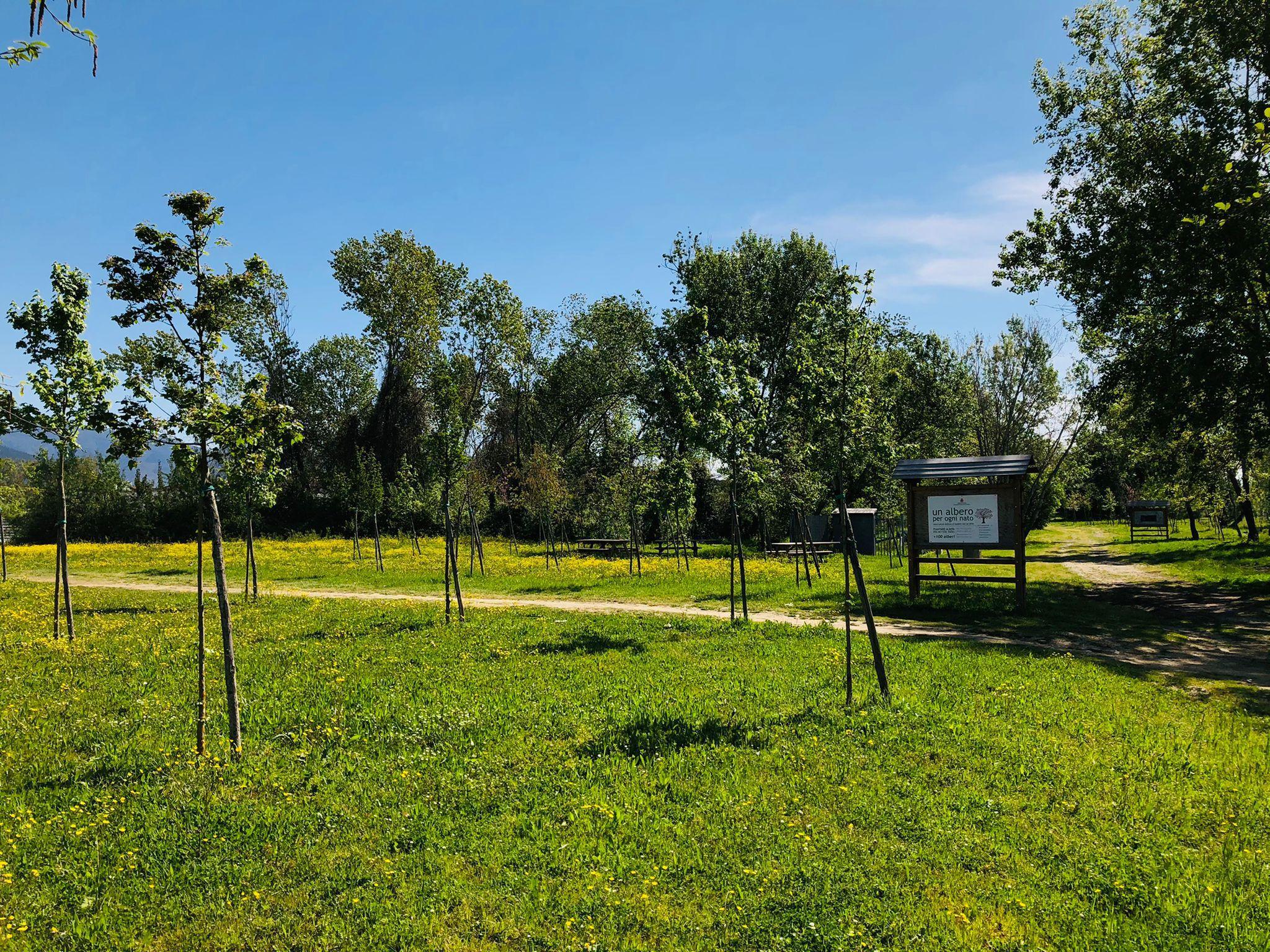 Il parco urbano di Cisanello, ora "Parco Europa"