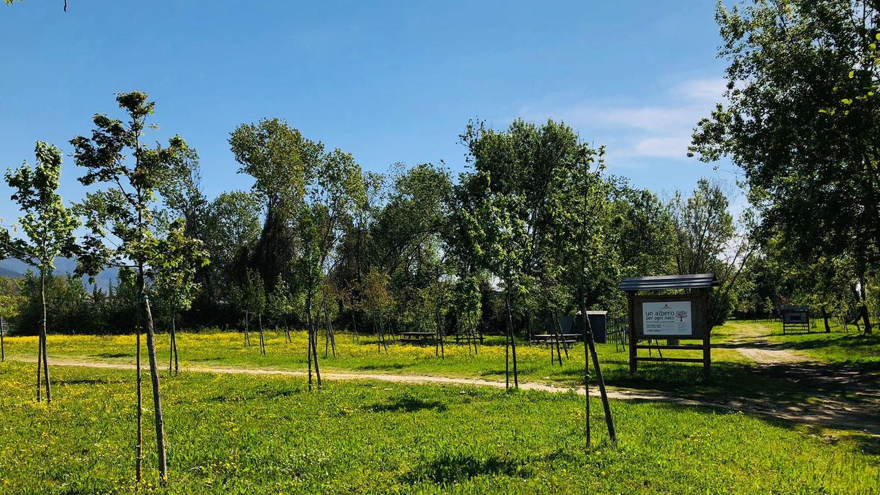Il parco urbano di Cisanello, ora "Parco Europa"