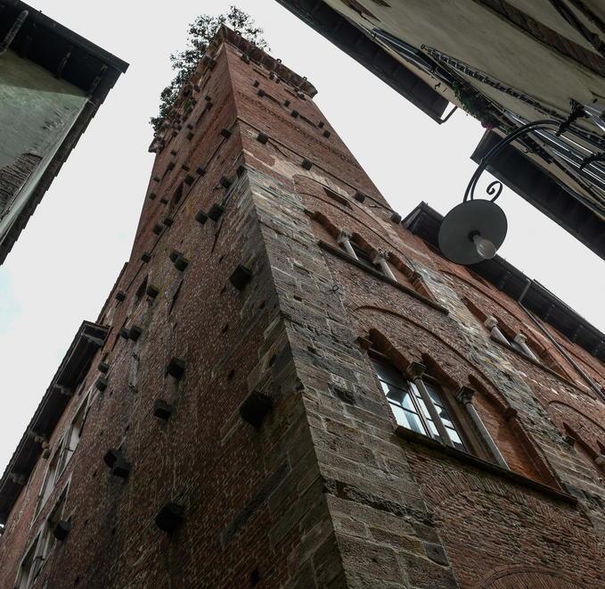La Torre Guinigi inaugura il biglietto su booking 