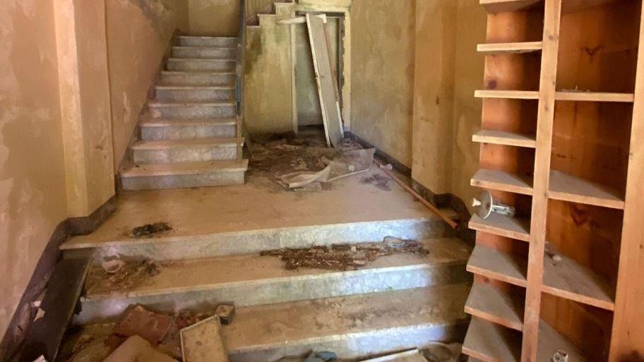 San Rossore, alberi caduti e il degrado negli edifici - Foto