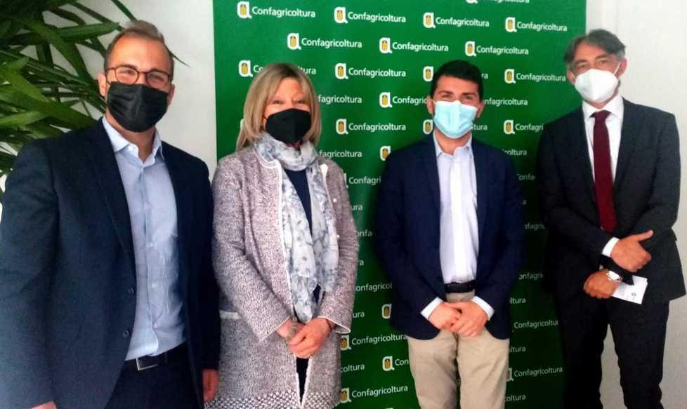 «Scongiurare il taglio di altri frutteti» Summit regionale