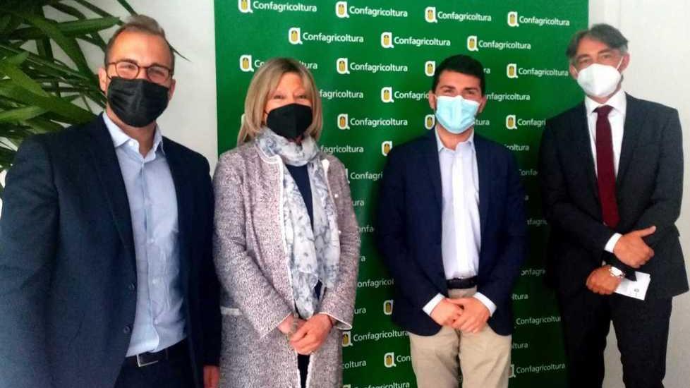 «Scongiurare il taglio di altri frutteti» Summit regionale