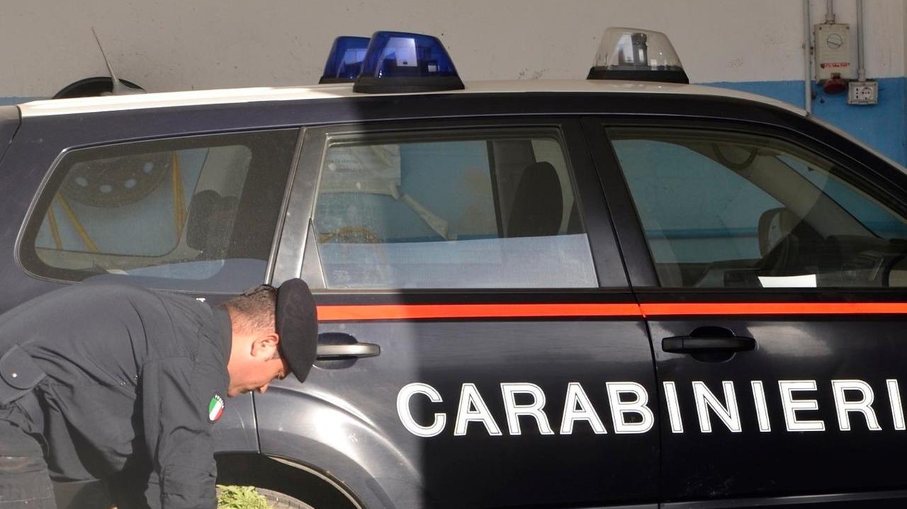 Parte dell’operazione ha interessato Bitti sequestrati 350 chili di canapa sativa