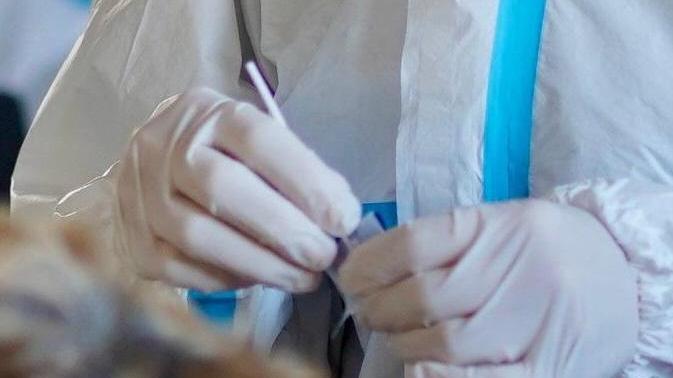 La preparazione di un tampone (foto Marzi)