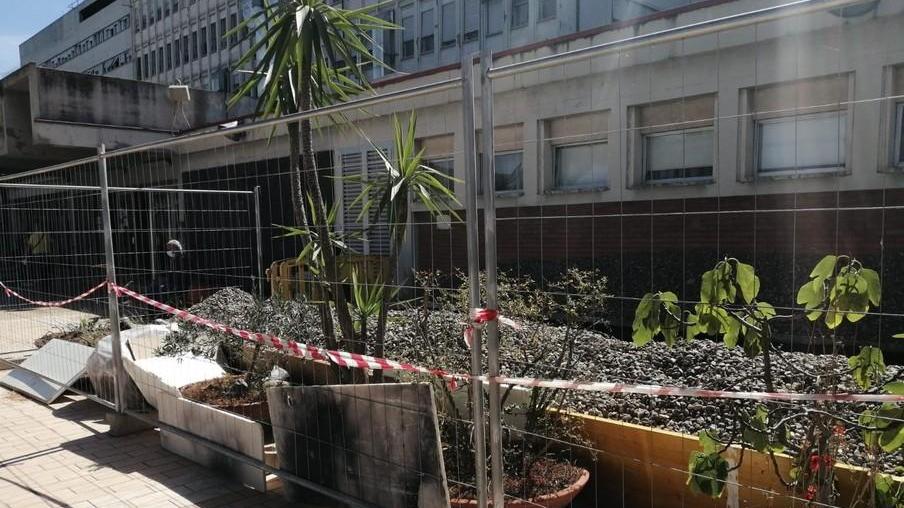 «In cima alla rampa piante seccate e aiuole in brutto stato»