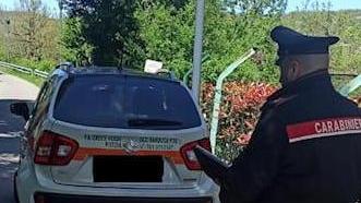 Tampona l’auto dei volontari e si dà alla fuga: denunciata