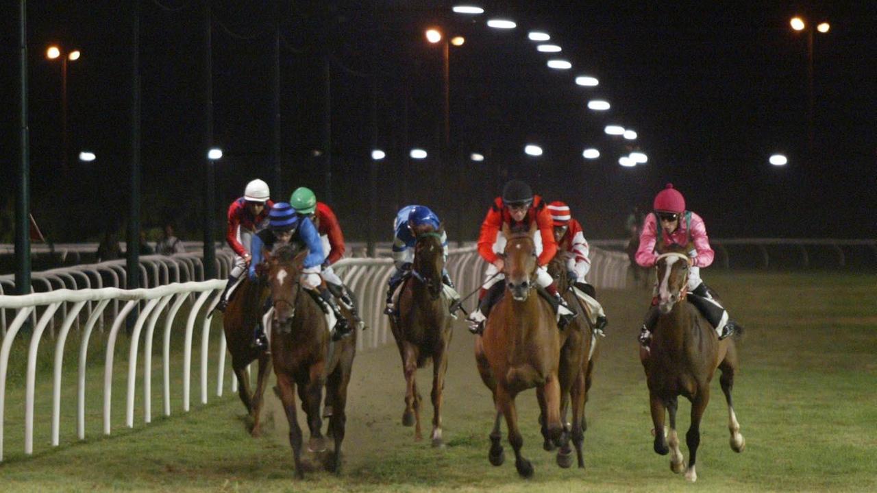 Un momento dell’arrivo di una corsa al galoppo all’ippodromo Caprilli