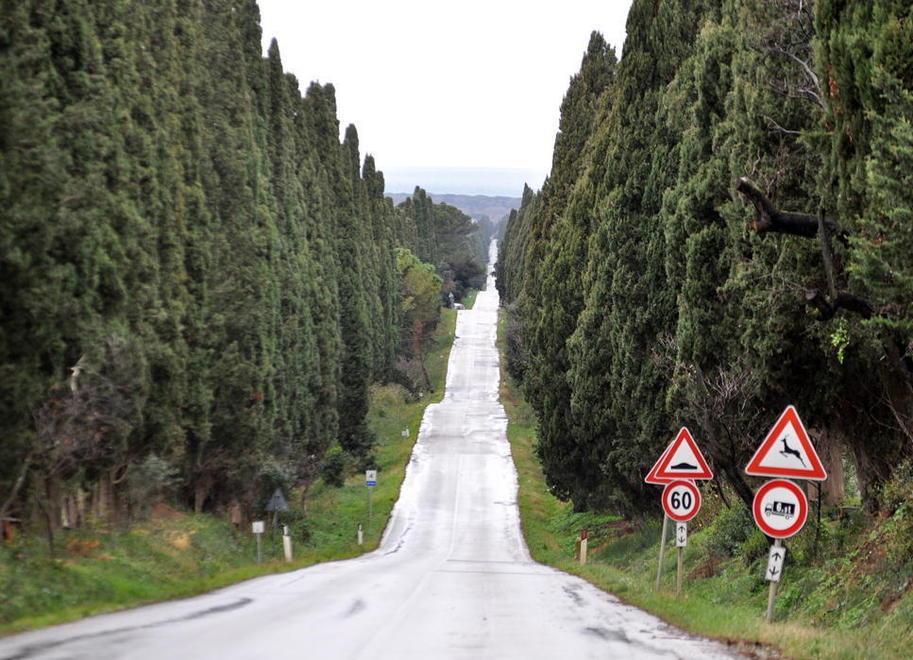 No all’autovelox fisso o ai dossi sul viale di Bolgheri: paesaggio da tutelare