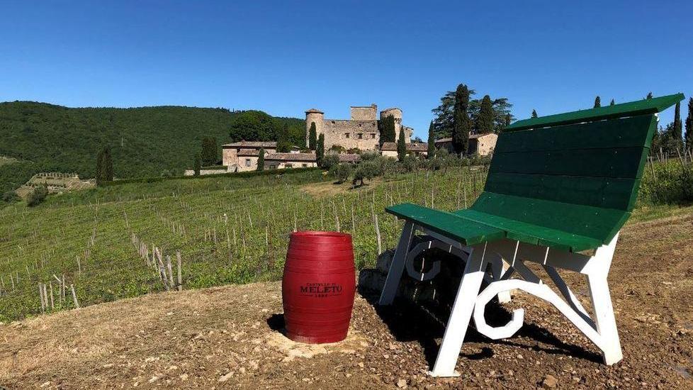 La panchina verde che guarda Il Parco delle api nell'azienda vitivinicola Castello di Meleto nel Chianti