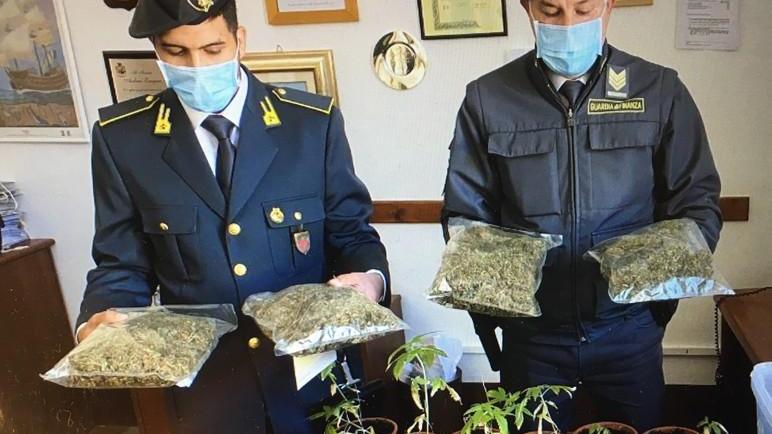 Oltre 4 chili di marijuana nascosti nelle roulotte