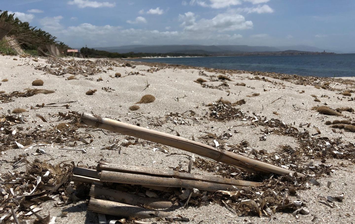 I legni in spiaggia “donati” ai cittadini 