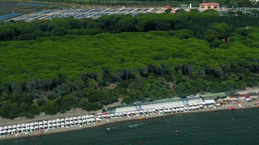 La riserva naturale della Feniglia svela i suoi tesori