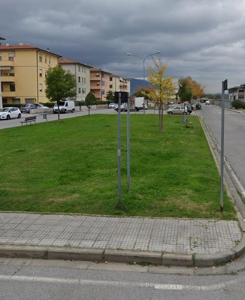 L’associazione Demetra pianta nuovi alberi