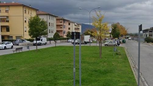 L’associazione Demetra pianta nuovi alberi