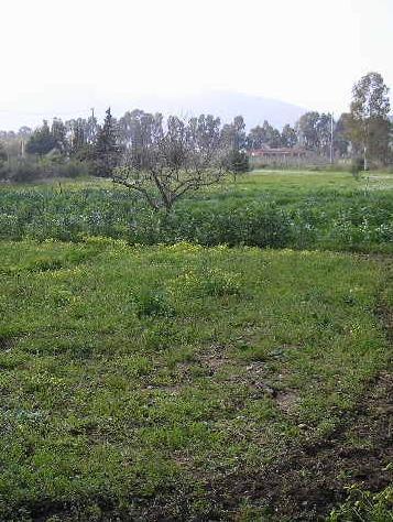 «Parco Duai, ho una procura notarile» 