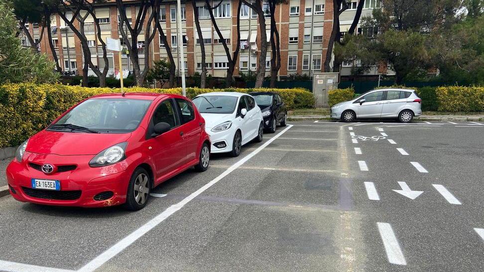 Corretta la corsia ciclabile a fianco dei parcheggi alla Rosa: adesso è più sicura
