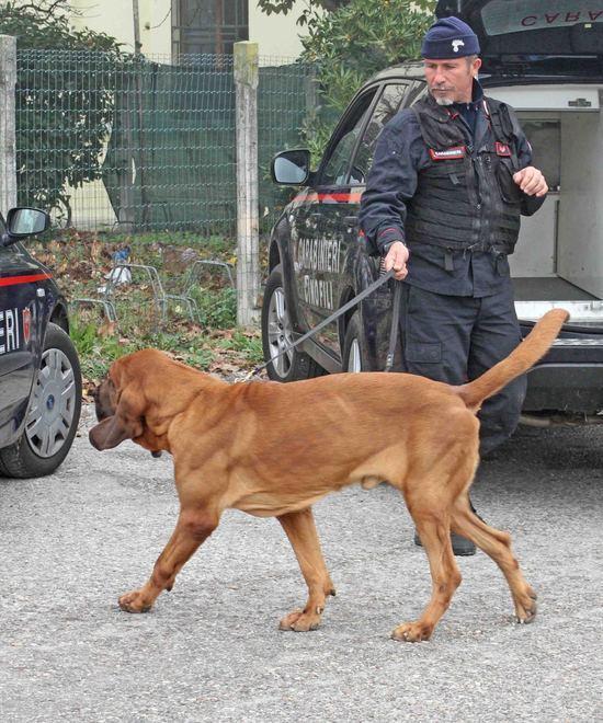 Nell’ultimo triennio sono 121 le emergenze affrontate 