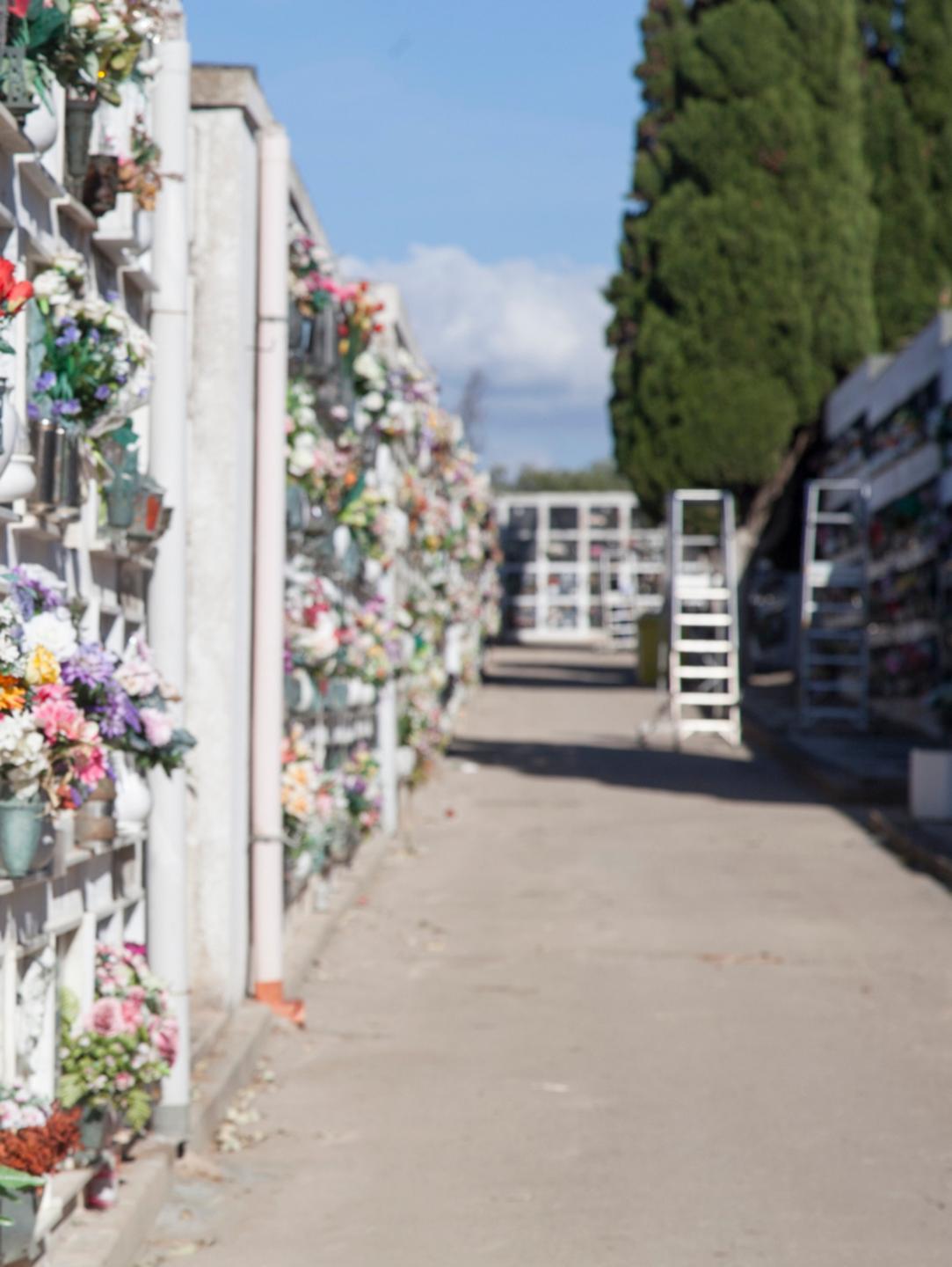 Restyling e nuovi loculi in cimitero 