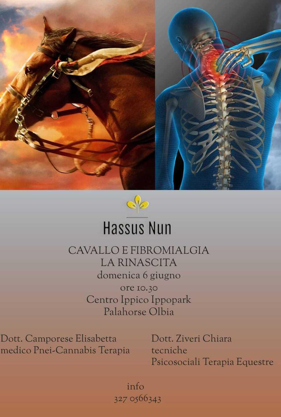 Fibromialgia e riabilitazione grazie al cavallo
