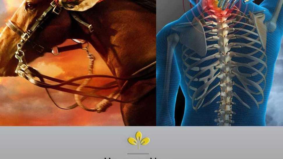 Fibromialgia e riabilitazione grazie al cavallo
