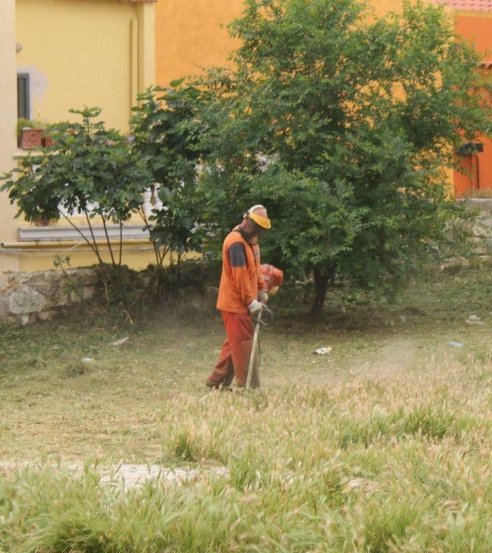 Cura del verde pubblico in scuole, strade e aiuole 
