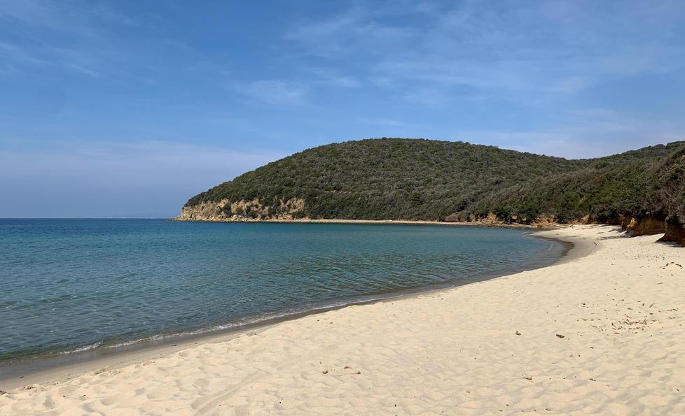 Da martedì a Cala Violina solo con prenotazione online 